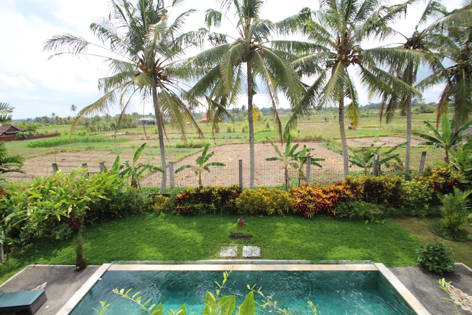 Uma Capung Mas Cottage Ubud Esterno foto