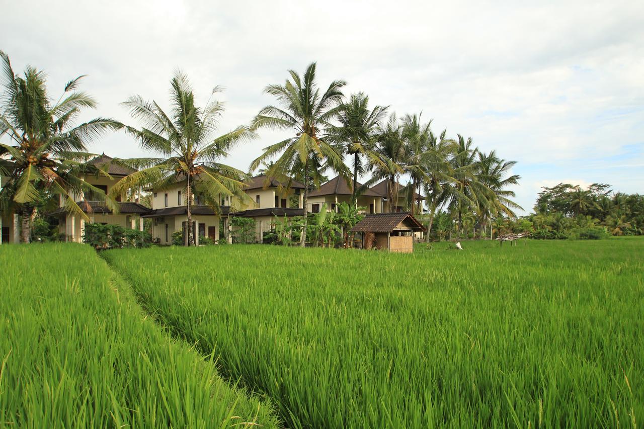 Uma Capung Mas Cottage Ubud Esterno foto